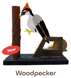 Woodpecker